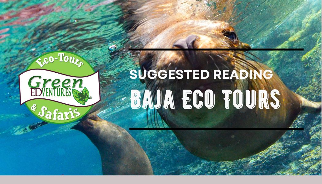 3 Book Recommendations for Baja Mexico Sea of Cortez