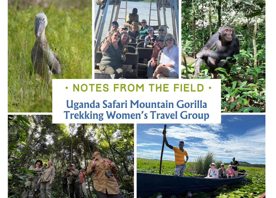 Uganda Safari Mountain Gorilla Trekking Women’s Travel Group Trip Report