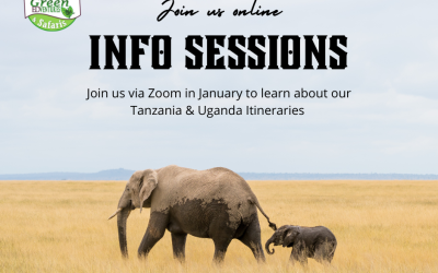 Women’s Adventures Africa Tours Info Sessions January 2024 | Join us on Zoom January 2024.