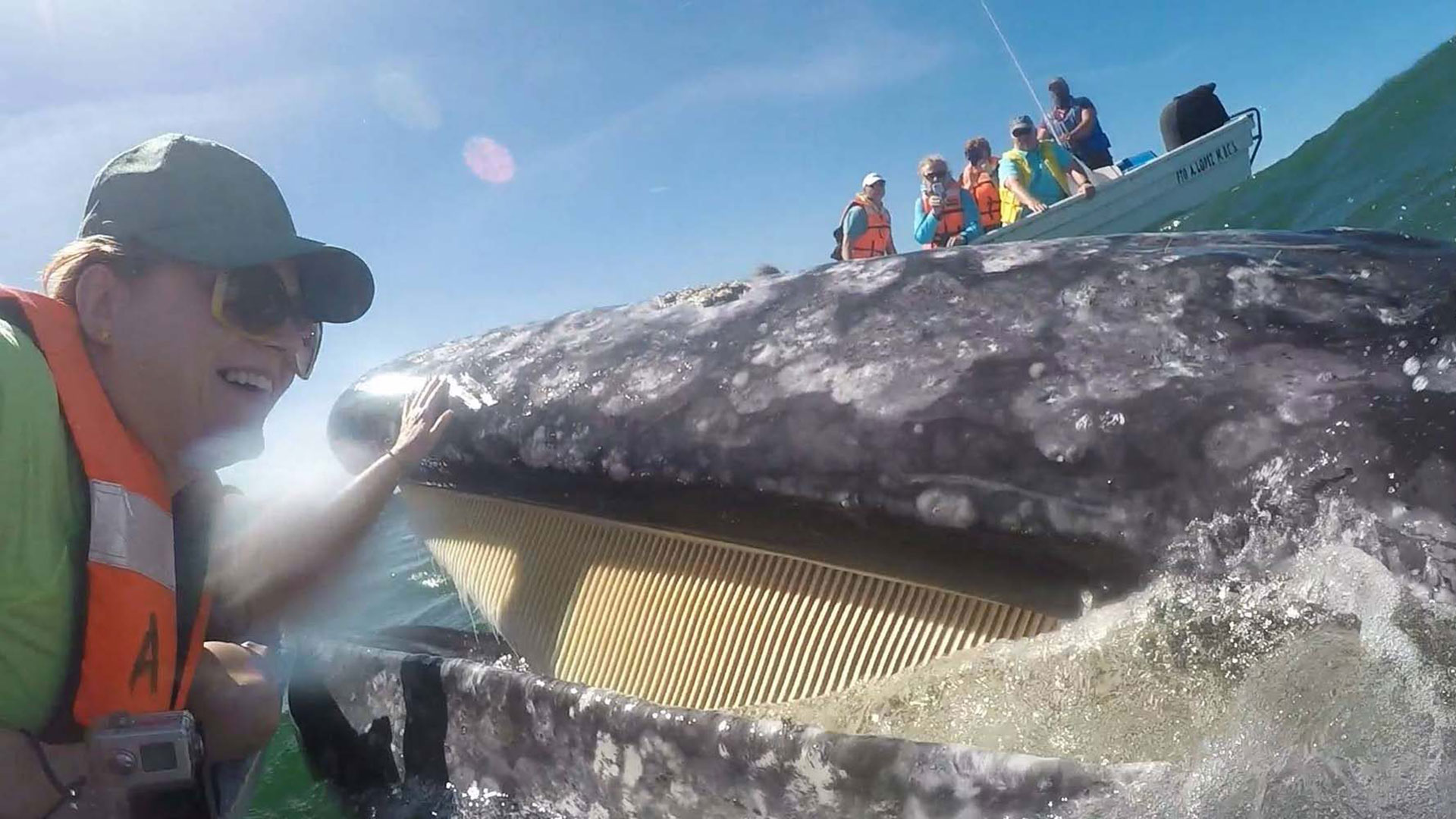 Baja-Womens-Whales-Eco-Tour